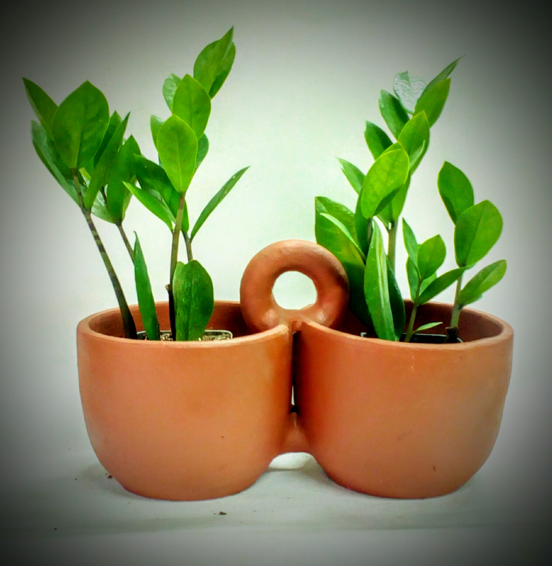 Discount Indoor Plant Pots